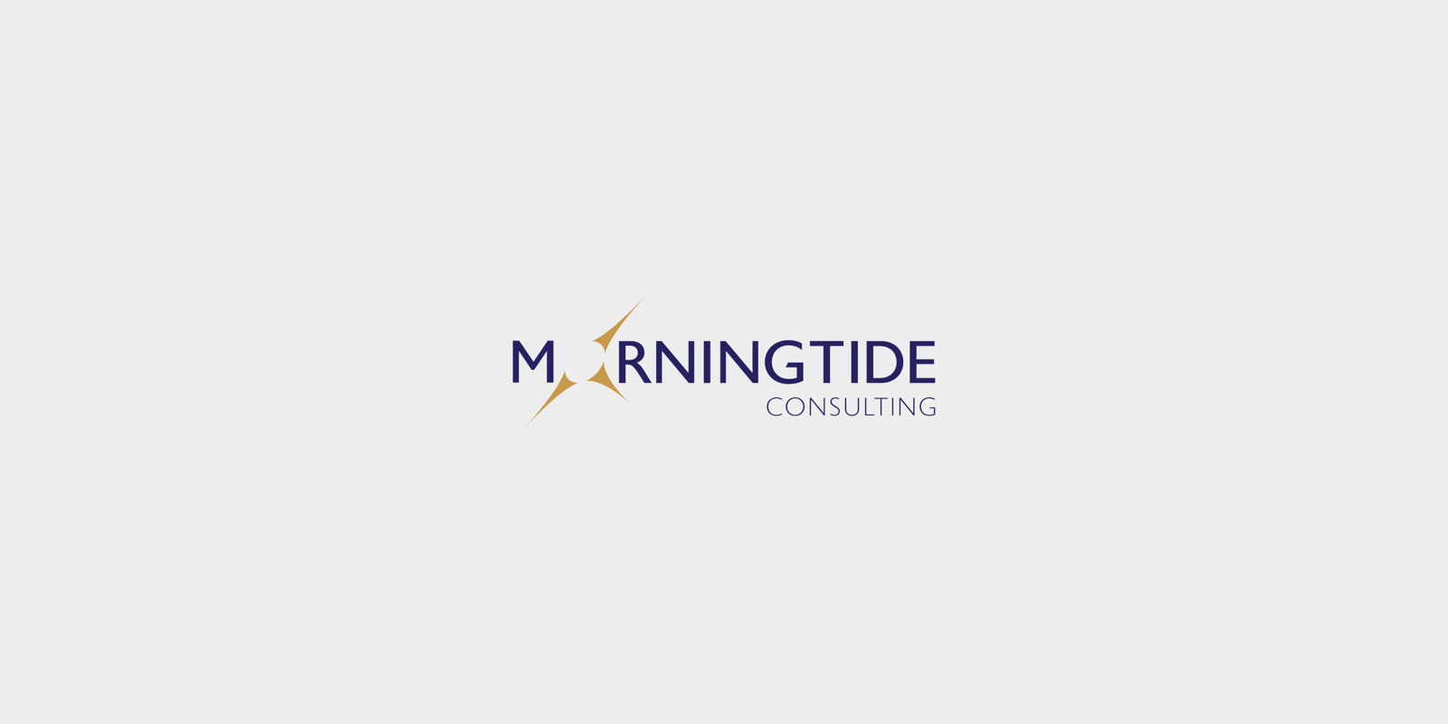 morningtide-consulting-1